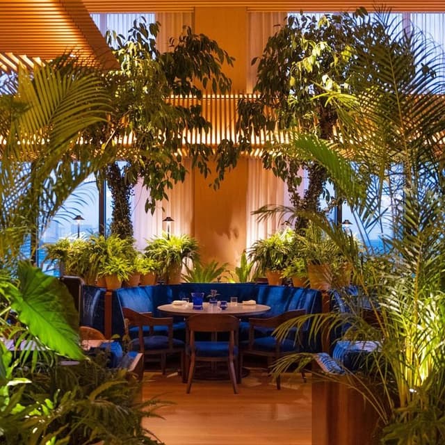 The Blue Room