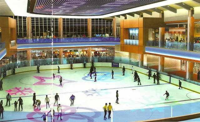 BX Rink