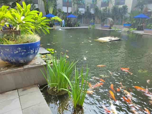 High-end hotel courtyard for corporate networking mixers and conference breakout sessions.
