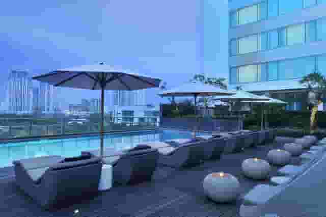 Pinus 2