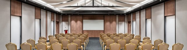 Theatre-style conference room with wood paneling for executive presentations and plenary sessions.