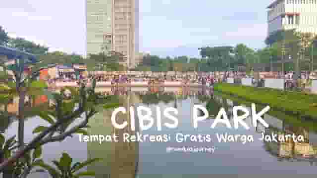 CIBIS FIVE & SIX