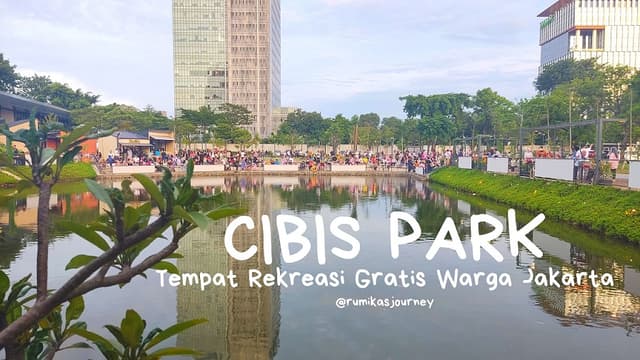 CIBIS FIVE & SIX