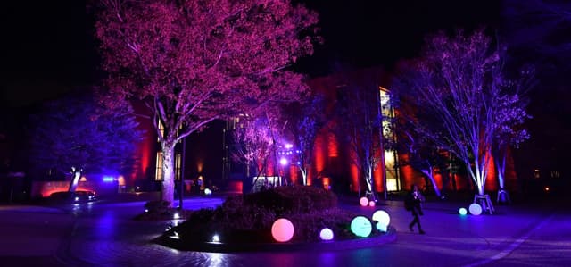Outdoor Spaces