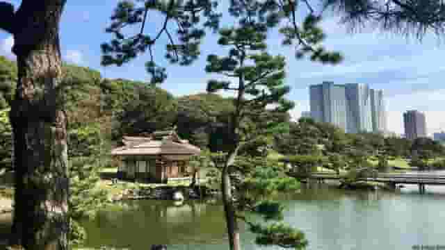 Nakajima-no-ochaya