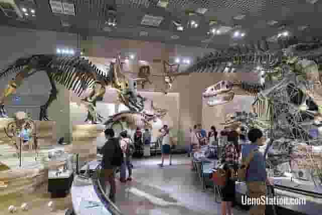 Global Gallery