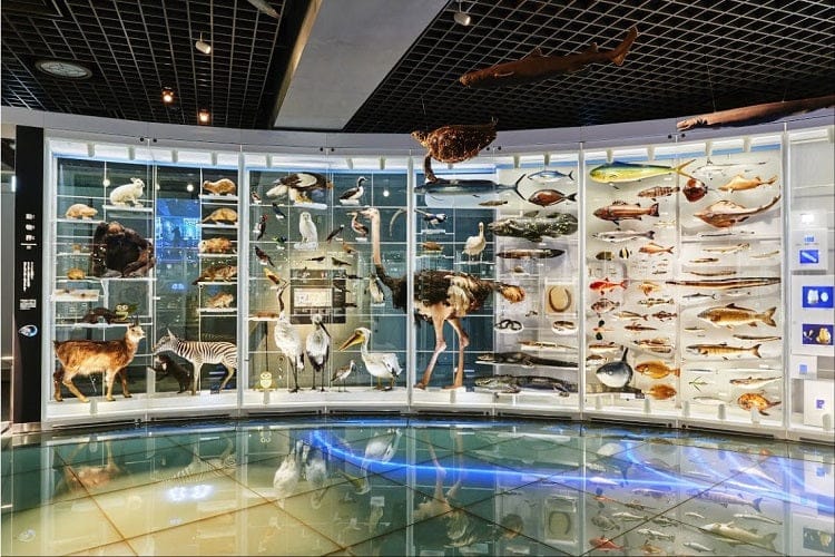 Lecture Hall at National Museum of Nature and Science for networking events and corporate meetings.