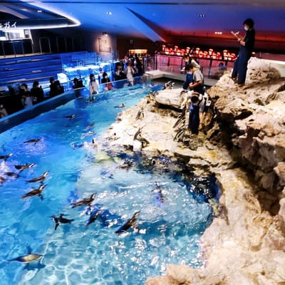 Sumida Aquarium event venue with multi-level architecture for unique corporate and gala events.