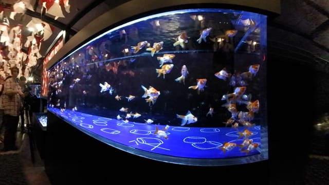 Sumida Aquarium immersive centerpiece for themed gala or networking event.