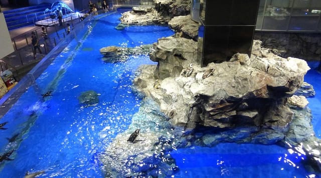 Sumida Aquarium exhibit with blue ambient lighting for unforgettable wedding reception events.
