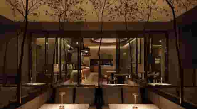 Main Dining Area