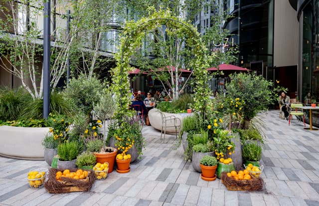 4 London Rooftop Bars For Summer Party Entertainment
