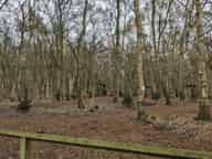 Drake & Morgan Venues
