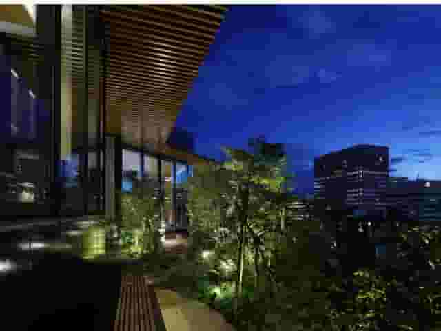 Rooftop Garden