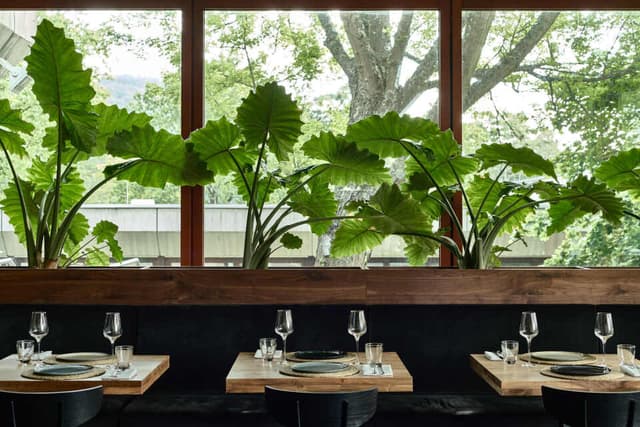 Restaurant & Bar