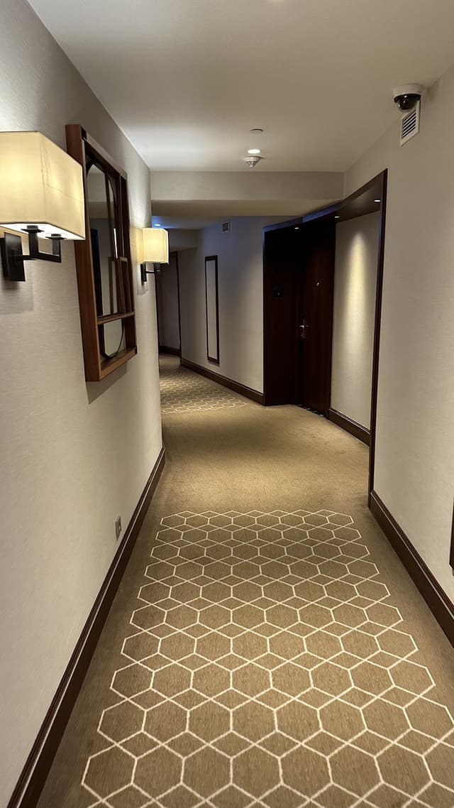 Conrad Panoramic Terrace