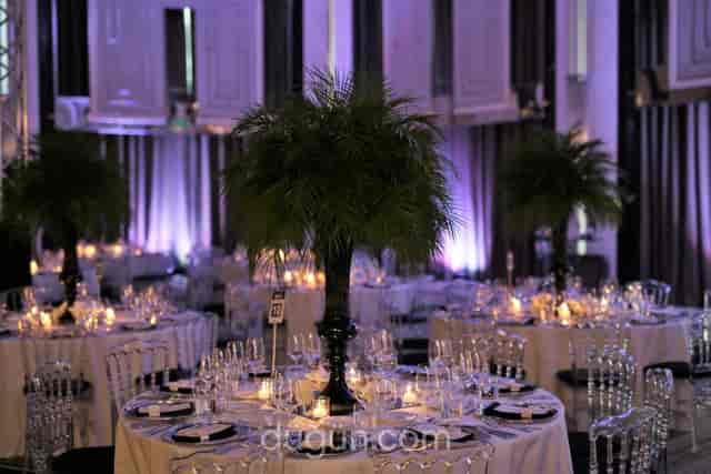 Elegant gala banquet hall with purple lighting and palm centerpieces for luxury events.
