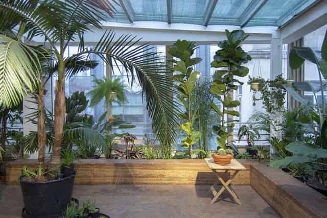 GÖSTERİM