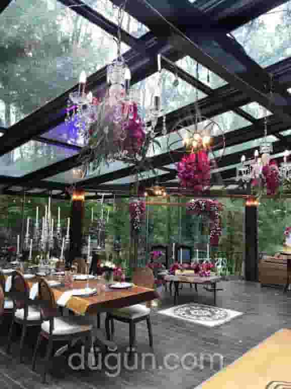 Izoletta Glass Salon