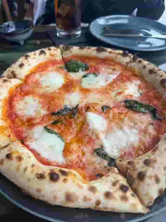 Arya