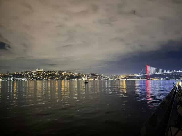 Olea Bosphorus