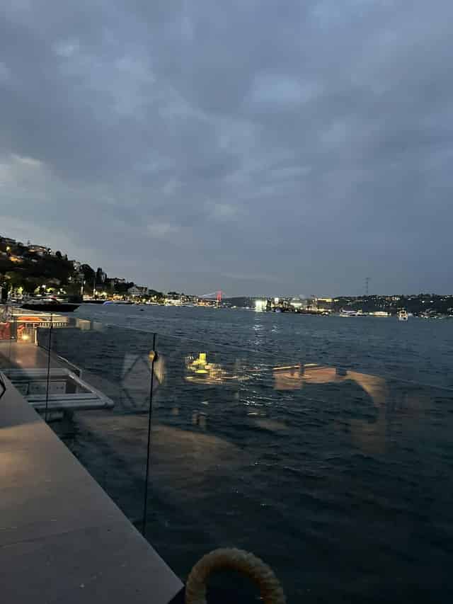 Olea Bosphorus