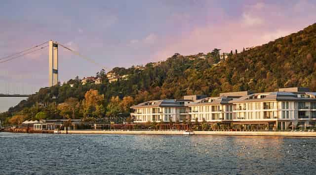 Olea Bosphorus