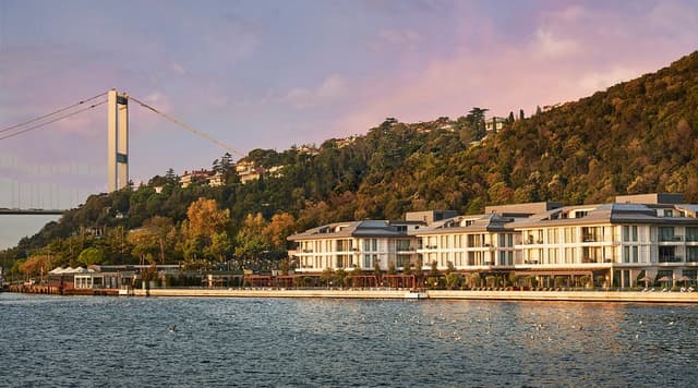 Olea Bosphorus