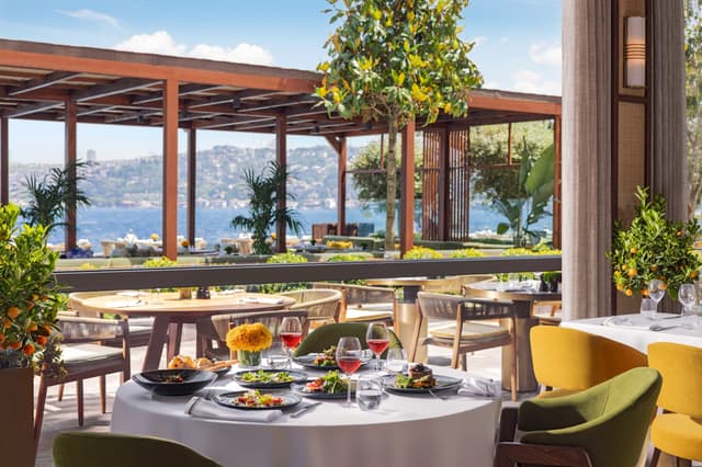 Olea Bosphorus
