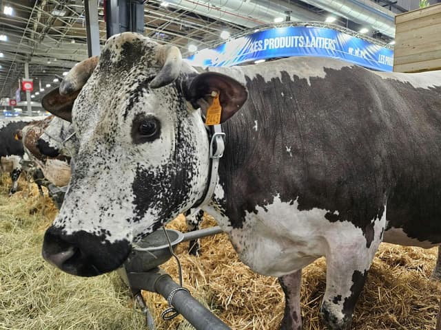 Paris Expo Porte de Versailles