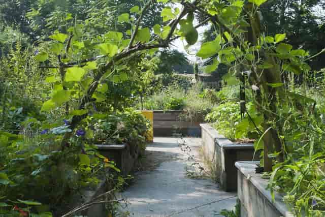 Rustic garden at Les Jardins, La Villette, ideal for botanical cocktail events and breakouts.