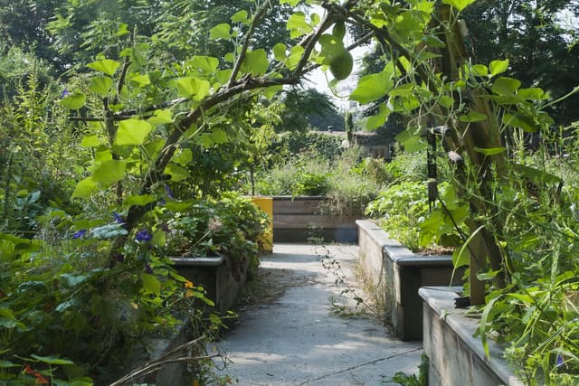 Les Jardins