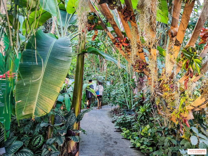 Tropical Hothouse venue at Muséum national d'Histoire naturelle for immersive corporate events.