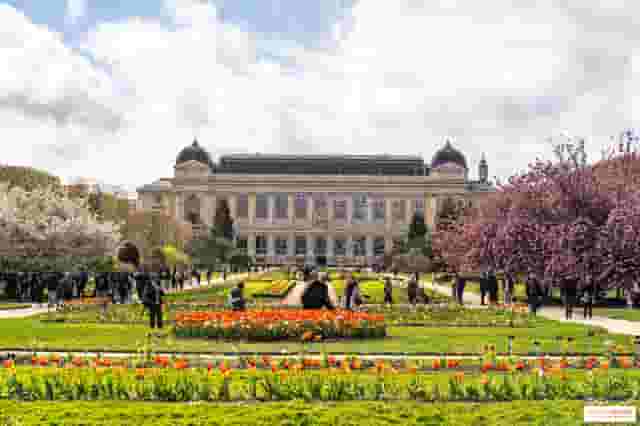 Jardin des Plantes