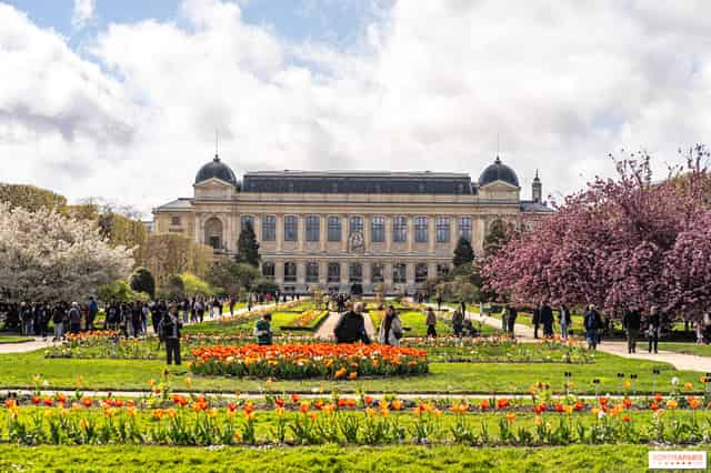 Jardin des Plantes