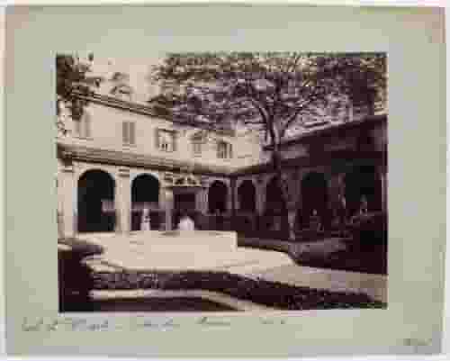 Cour du mûrier