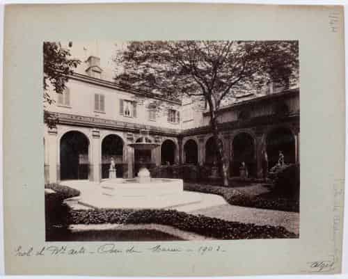 Cour du mûrier