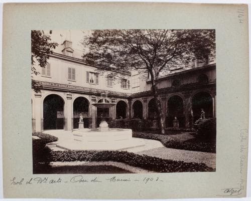 Cour du mûrier