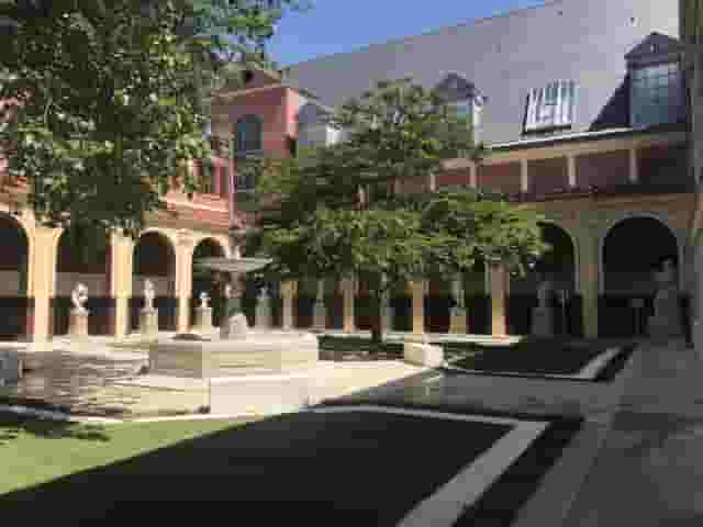 Cour du mûrier