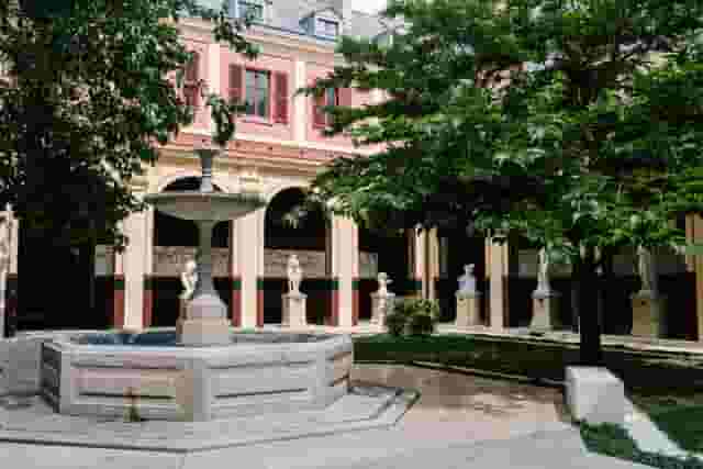 Cour du mûrier