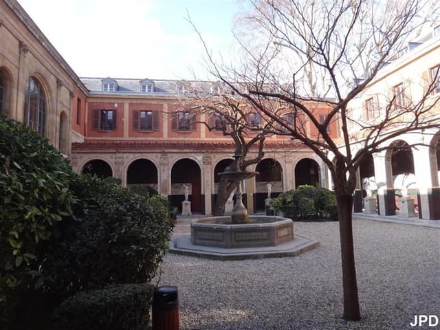 Cour du mûrier
