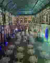 Event Venues