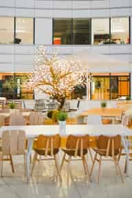 Sustainable Conferences