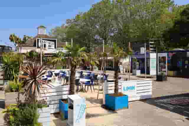 Coconut Grove