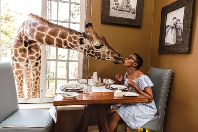 at Giraffe Manor in Nairobi ...