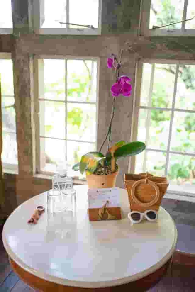 Orchid House