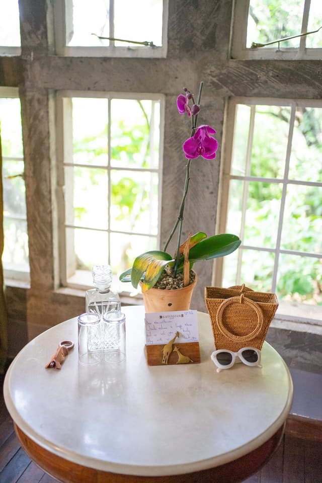 Orchid House