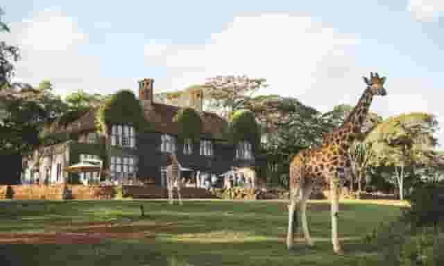 Orchid House