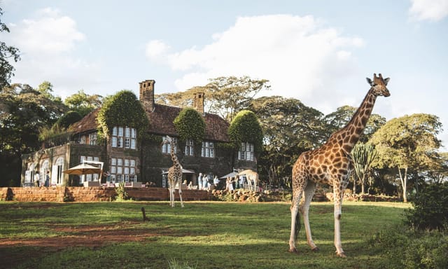 Giraffe Manor Orchid House: luxury wildlife venue for unique experiential and corporate events.