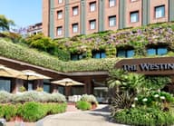 Sustainable Conferences